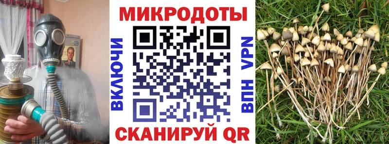 цена   Туапсе  Псилоцибиновые грибы GOLDEN TEACHER 